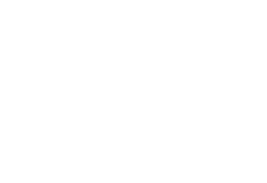 Minish - Logo