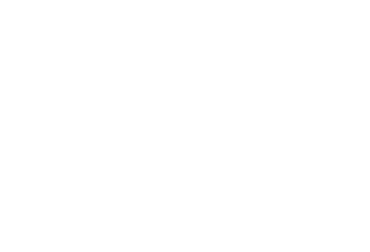 Minish - Logo